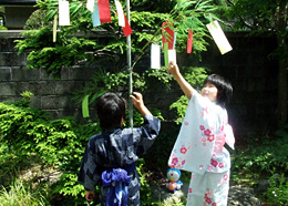 七夕祭り